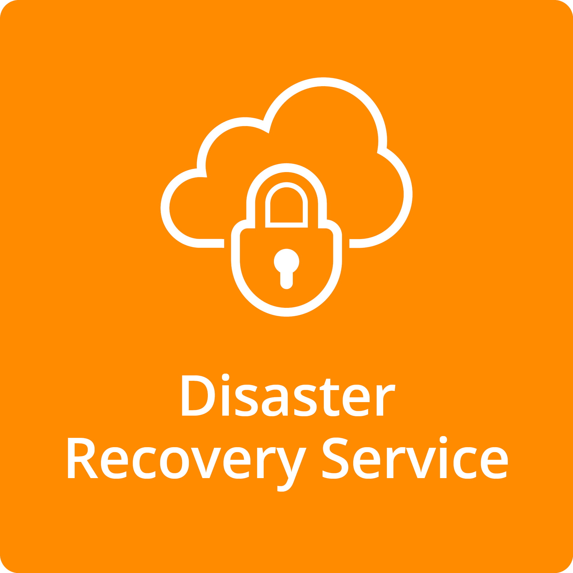 Disaster Recovery Service